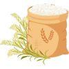 rice